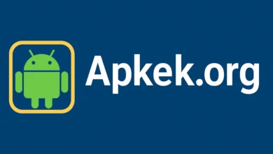 Apkek org
